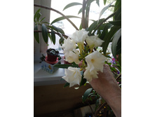 IMG 20220628 142700.jpg