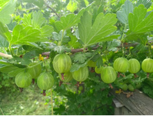 ��������� "���������� �������"