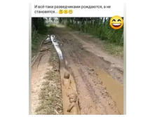 IMG 20220726 200527.jpg