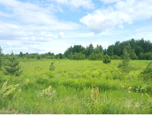 20220703 � ������� 135303.jpg