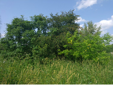 20220709 �� �������� 134409.jpg