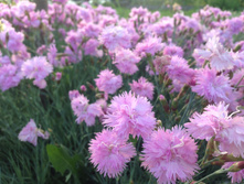 �������� ��������.jpg