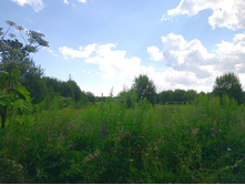 20220717 5+1 ������� 141618.jpg