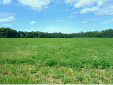 20220702 �� �������� ������ ��� 114906.jpg