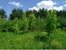 20220716 ������-300 ���������� ���� 115555.jpg