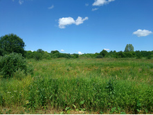 20220716 ������-300 ���������� ���� 115312.jpg