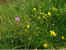 20220702 �� �������� ������ ��� 095416.jpg