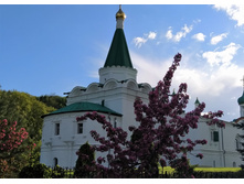 IMG 20220529 174450.jpg