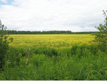 20220703 � ������� 120131.jpg