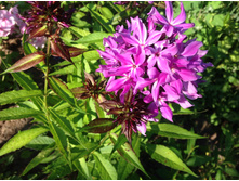 �������� ������