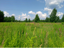 20220724 ������-������ 134911.jpg