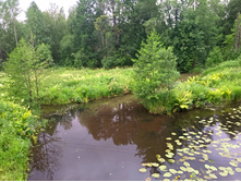 20220709 �� �������� 165434.jpg