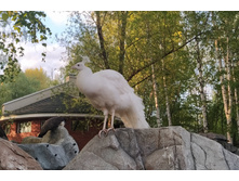 IMG 20220521 193333.jpg