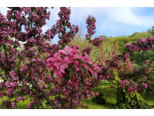 IMG 20220529 174158.jpg