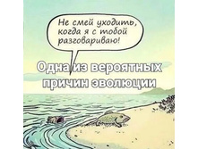 IMG 20220726 082239.jpg