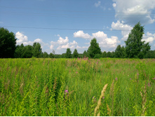 20220724 ������-������ 134924.jpg