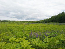 20220703 � ������� 120749.jpg