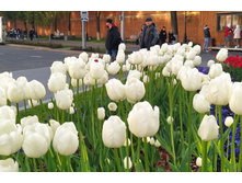 IMG 20220529 190615.jpg