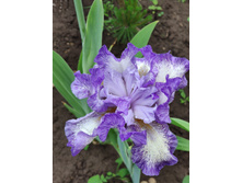 IMG 20220620 111723.jpg