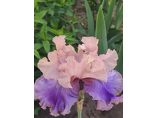 IMG 20220630 121914.jpg