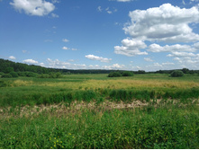 20220716 ������-300 ���������� ���� 115940.jpg