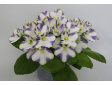 ��-������ ��������.jpg