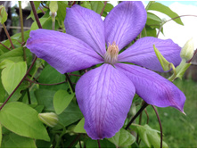 ���� ����������