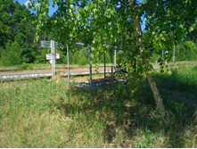 20220702 �� �������� ������ ��� 134936.jpg