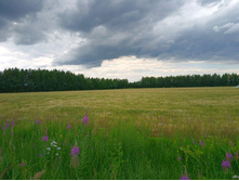 20220717 5+1 ������� 140836.jpg