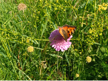 20220702 �� �������� ������ ��� 095445.jpg