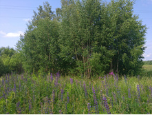 20220709 �� �������� 132425.jpg