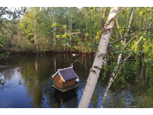 IMG 20220521 185030.jpg