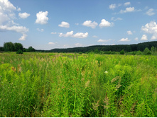 20220724 ������-������ 121859.jpg