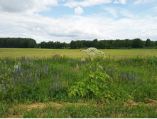 20220703 � ������� 114626.jpg