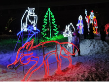 IMG 20220103 170731.jpg