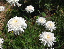 �������� �����