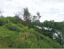 20220703 � ������� 134546.jpg