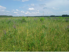 20220709 �� �������� 134859.jpg