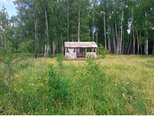 20220716 ������-300 ���������� ���� 122808.jpg