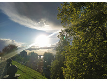 IMG 20220529 185903.jpg