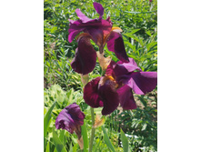 IMG 20220624 121920.jpg