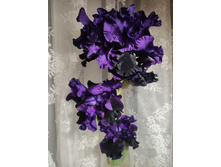 IMG 20220625 213714.jpg