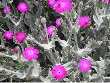 ������ ����������1.jpg