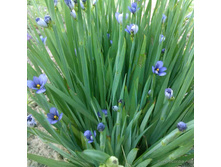 ���� ���������� ���������� 1.jpg