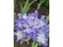 IMG 20220620 111829 1.jpg