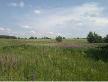 20220709 �� �������� 133754.jpg