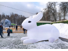 IMG 20220116 142616.jpg