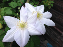 �������� ������