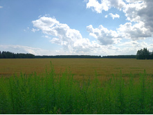 20220717 5+1 ������� 141225.jpg