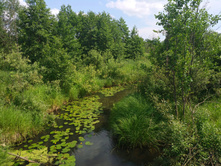 20220709 �� �������� 124509.jpg